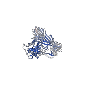 22892_7kj3_A_v1-3
SARS-CoV-2 Spike Glycoprotein with two ACE2 Bound
