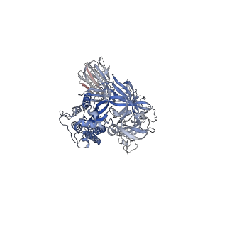 22894_7kj5_A_v1-3
SARS-CoV-2 Spike Glycoprotein, prefusion with one RBD up conformation