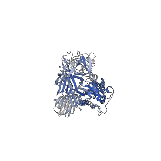 22894_7kj5_C_v1-3
SARS-CoV-2 Spike Glycoprotein, prefusion with one RBD up conformation