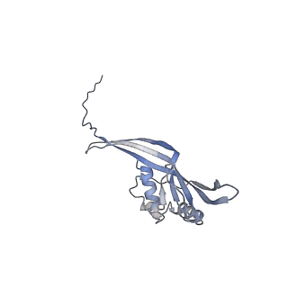 22896_7kjk_B5_v1-1
The Neck region of Phage XM1 (6-fold symmetry)