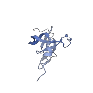 22896_7kjk_F4_v1-1
The Neck region of Phage XM1 (6-fold symmetry)