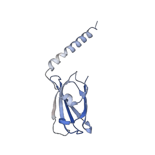 22896_7kjk_L3_v1-1
The Neck region of Phage XM1 (6-fold symmetry)
