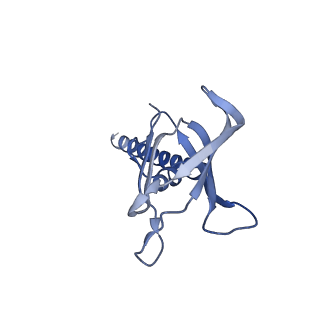 22896_7kjk_P3_v1-1
The Neck region of Phage XM1 (6-fold symmetry)
