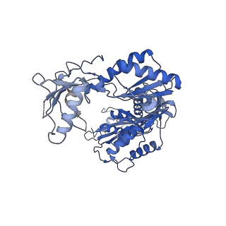 22899_7kjv_A_v1-1
Structure of HIV-1 reverse transcriptase initiation complex core