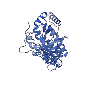 22899_7kjv_B_v1-1
Structure of HIV-1 reverse transcriptase initiation complex core