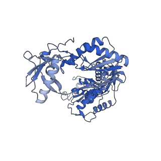 22900_7kjw_A_v1-1
Structure of HIV-1 reverse transcriptase initiation complex core with efavirenz
