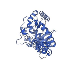 22900_7kjw_B_v1-1
Structure of HIV-1 reverse transcriptase initiation complex core with efavirenz
