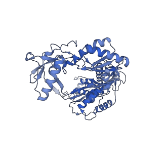 22901_7kjx_A_v1-1
Structure of HIV-1 reverse transcriptase initiation complex core with nevirapine