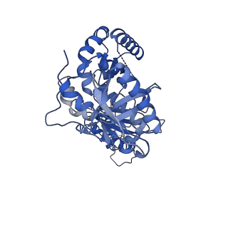 22901_7kjx_B_v1-1
Structure of HIV-1 reverse transcriptase initiation complex core with nevirapine