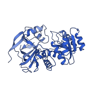 22902_7kjy_A_v1-0
Symmetry in Yeast Alcohol Dehydrogenase 1 - Open Form with NADH