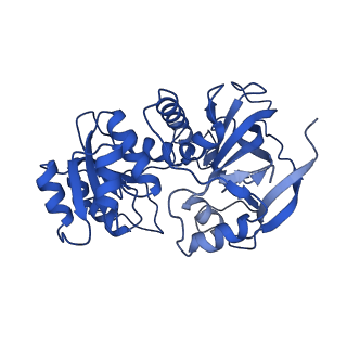 22902_7kjy_C_v1-0
Symmetry in Yeast Alcohol Dehydrogenase 1 - Open Form with NADH