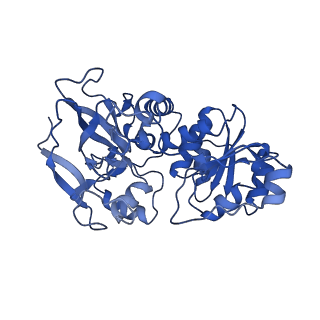 22902_7kjy_D_v1-0
Symmetry in Yeast Alcohol Dehydrogenase 1 - Open Form with NADH