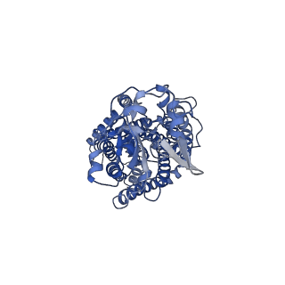 0703_6kku_A_v1-1
human KCC1 structure determined in NaCl and GDN