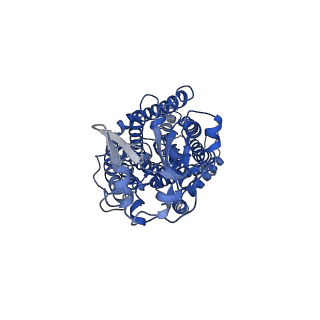 0703_6kku_B_v1-1
human KCC1 structure determined in NaCl and GDN