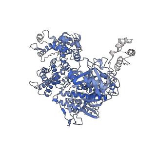0704_6kl9_A_v1-2
Structure of LbCas12a-crRNA complex bound to AcrVA4 (form A complex)