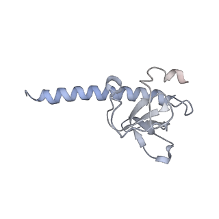 0704_6kl9_C_v1-2
Structure of LbCas12a-crRNA complex bound to AcrVA4 (form A complex)