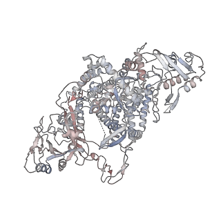 0705_6klb_A_v1-2
Structure of LbCas12a-crRNA complex bound to AcrVA4 (form B complex)