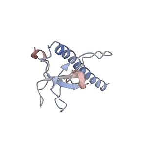 0705_6klb_C_v1-2
Structure of LbCas12a-crRNA complex bound to AcrVA4 (form B complex)