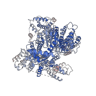 0706_6klc_A_v1-2
Structure of apo Lassa virus polymerase