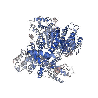 0706_6klc_A_v1-3
Structure of apo Lassa virus polymerase