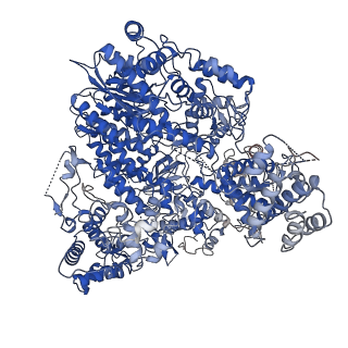 0707_6kld_A_v2-0
Structure of apo Machupo virus polymerase