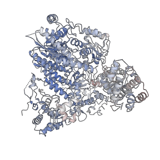 0709_6kle_A_v1-2
Monomeric structure of Machupo virus polymerase bound to vRNA promoter