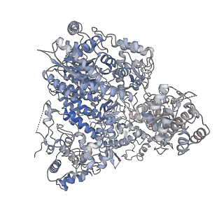 0709_6kle_A_v2-0
Monomeric structure of Machupo virus polymerase bound to vRNA promoter