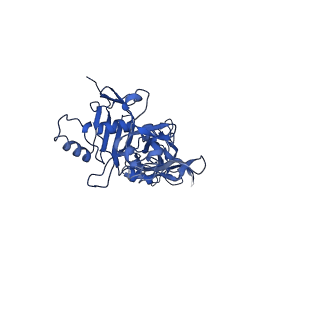 0713_6klo_B_v1-3
Complex structure of Iota toxin enzymatic component (Ia) and binding component (Ib) pore with short stem