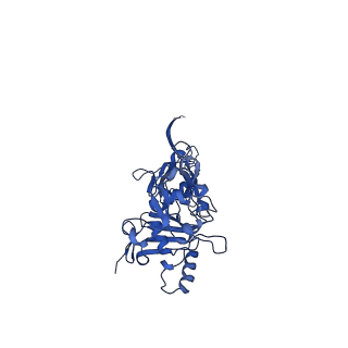 0713_6klo_G_v1-2
Complex structure of Iota toxin enzymatic component (Ia) and binding component (Ib) pore with short stem