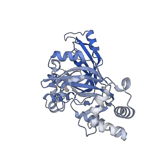 0713_6klo_H_v1-3
Complex structure of Iota toxin enzymatic component (Ia) and binding component (Ib) pore with short stem