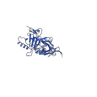 0721_6klx_B_v1-2
Pore structure of Iota toxin binding component (Ib)