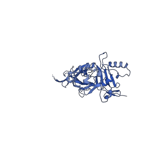 0721_6klx_E_v1-2
Pore structure of Iota toxin binding component (Ib)