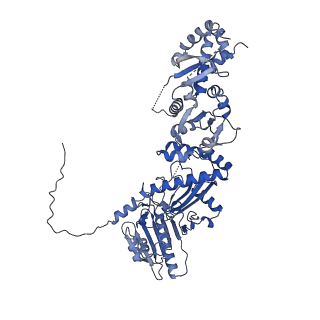 22918_7klu_A_v1-0
Tetrameric human mitochondrial Hsp90 (TRAP1) in the presence of AMP-PNP