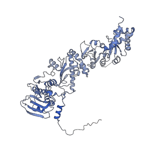 22918_7klu_B_v1-0
Tetrameric human mitochondrial Hsp90 (TRAP1) in the presence of AMP-PNP