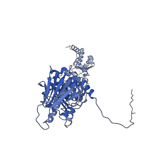 22918_7klu_C_v1-0
Tetrameric human mitochondrial Hsp90 (TRAP1) in the presence of AMP-PNP