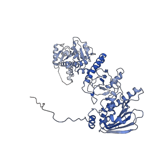 22918_7klu_D_v1-0
Tetrameric human mitochondrial Hsp90 (TRAP1) in the presence of AMP-PNP