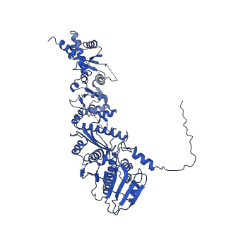22919_7klv_A_v1-0
Full-length human mitochondrial Hsp90 (TRAP1) SpyCatcher/SpyTag-SdhB heterodimer in the presence of AMP-PNP