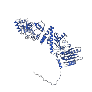 22919_7klv_B_v1-0
Full-length human mitochondrial Hsp90 (TRAP1) SpyCatcher/SpyTag-SdhB heterodimer in the presence of AMP-PNP