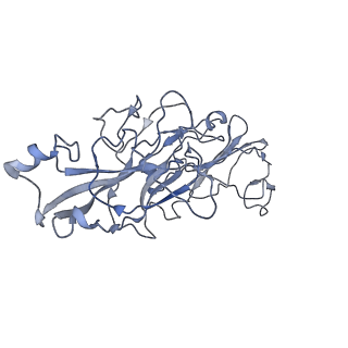 0724_6kmf_A_v1-3
FimA type V pilus from P.gingivalis