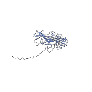 0724_6kmf_B_v1-3
FimA type V pilus from P.gingivalis