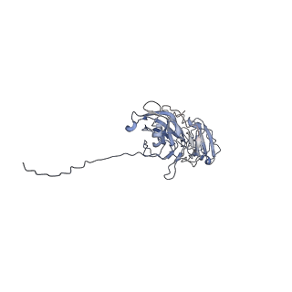 0724_6kmf_C_v1-3
FimA type V pilus from P.gingivalis