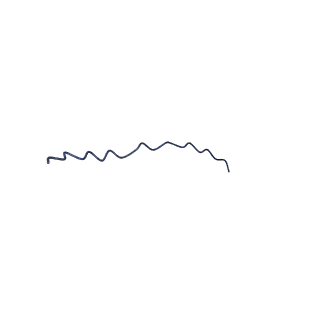 0724_6kmf_D_v1-3
FimA type V pilus from P.gingivalis