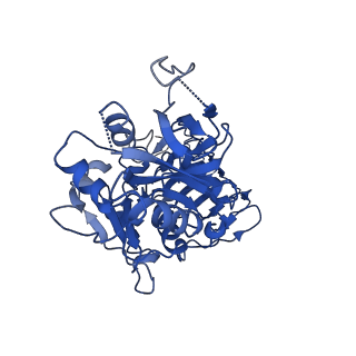 22924_7kmf_B_v1-0
Sugar phosphate activation of the stress sensor eIF2B