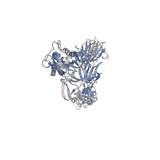 22926_7kml_B_v1-2
cryo-EM structure of SARS-CoV-2 spike in complex with Fab 15033-7, three RBDs bound