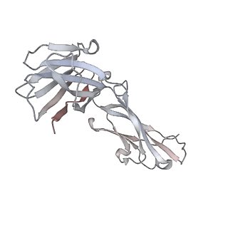 22926_7kml_H_v1-2
cryo-EM structure of SARS-CoV-2 spike in complex with Fab 15033-7, three RBDs bound