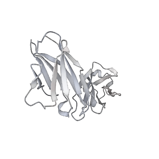 22926_7kml_L_v1-2
cryo-EM structure of SARS-CoV-2 spike in complex with Fab 15033-7, three RBDs bound