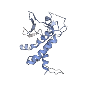 22928_7kmt_E_v1-1
Structure of the yeast TRAPPIII-Ypt1(Rab1) complex