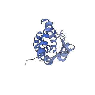 22928_7kmt_F_v1-1
Structure of the yeast TRAPPIII-Ypt1(Rab1) complex