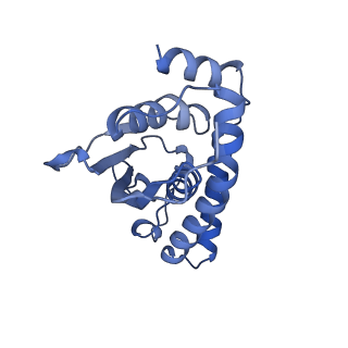 22928_7kmt_I_v1-1
Structure of the yeast TRAPPIII-Ypt1(Rab1) complex