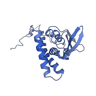 22928_7kmt_J_v1-1
Structure of the yeast TRAPPIII-Ypt1(Rab1) complex